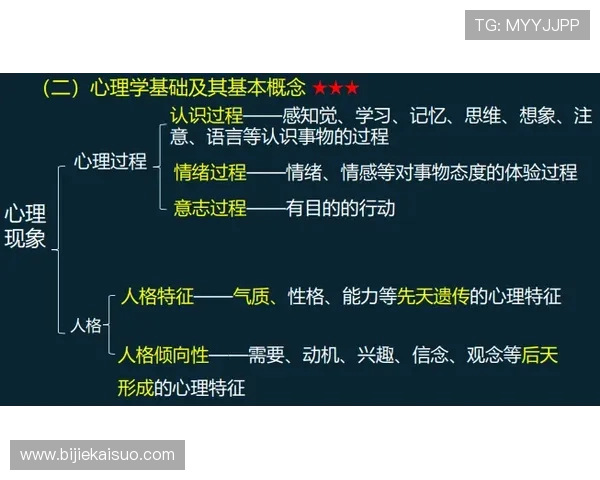 云开滚球盘：滚球盘中的心理战术与投注心态调整技巧